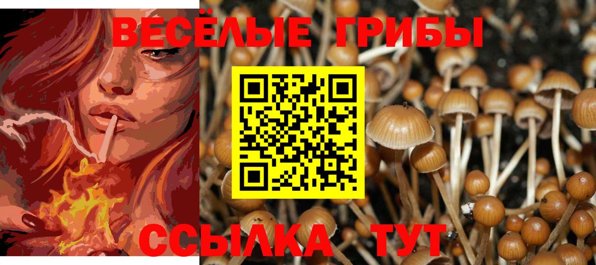 как найти закладки  Галлюциногенные грибы прущие грибы  Вход с VPN  Славянск-на-Кубани 